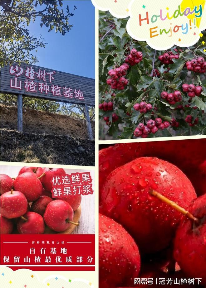 饮料品牌网